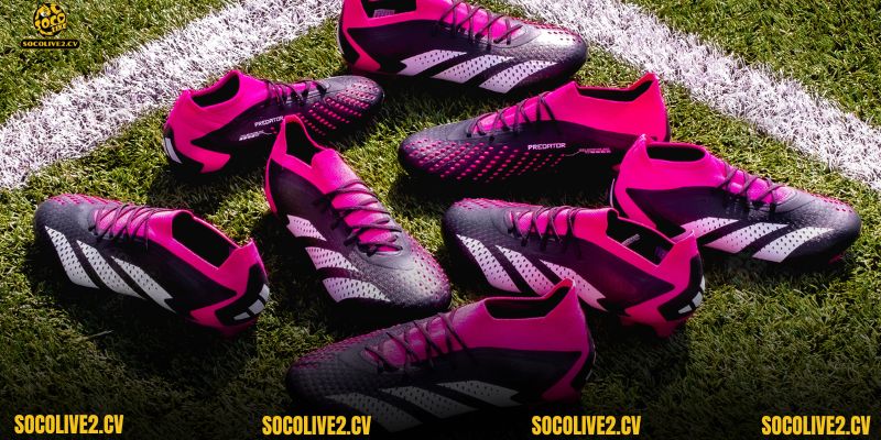 Có rất nhiều phiên bản Adidas Predator khác nhau cho người dùng lựa chọn
