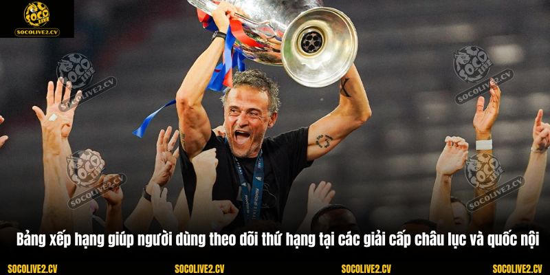 Bảng xếp hạng giúp người dùng theo dõi thứ hạng tại các giải cấp châu lục và quốc nội