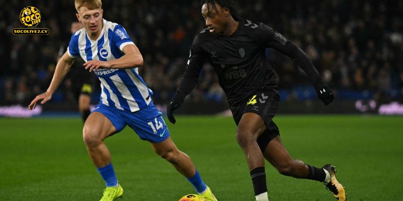 "Mèo Đen" Sunderland quyết tâm tận dụng lợi thế sân nhà để giữ lại điểm số quý giá